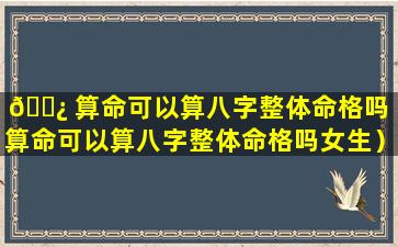 🌿 算命可以算八字整体命格吗（算命可以算八字整体命格吗女生）